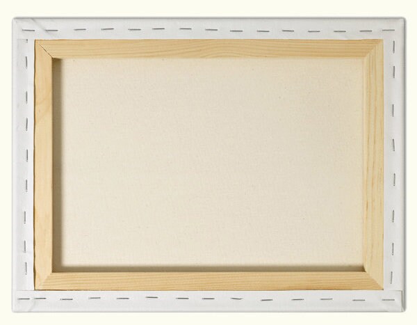 University of Missouri, Missouri Tigers vintage style Canvas Print, college football logos, apartment decorating ideas, Mizzou, MU